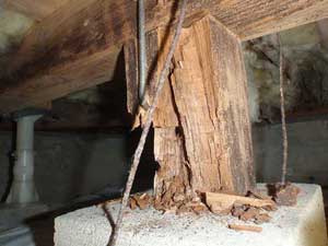 木材腐朽菌によってボロボロの束柱